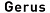 Gerus